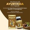 Patanjali Divya Immunogrit Gold Capsule 30 N 18gm