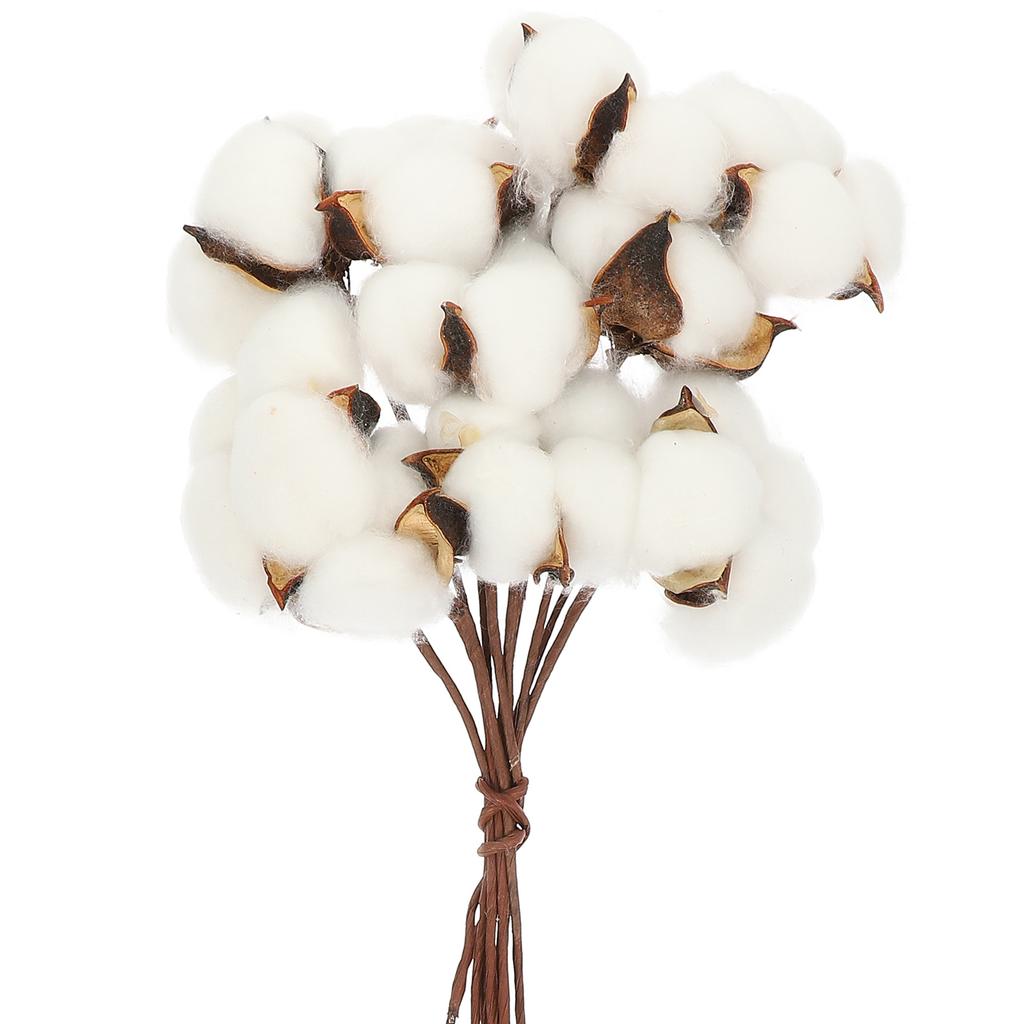 1Set Natural Dried Cotton Flower Branch White Cotton Branch Picks DIY Artificial Flower Bouquet lliving room ornament home deco