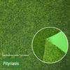 Artificial Green Moss Turf for Landscape and Bonsai Decor
