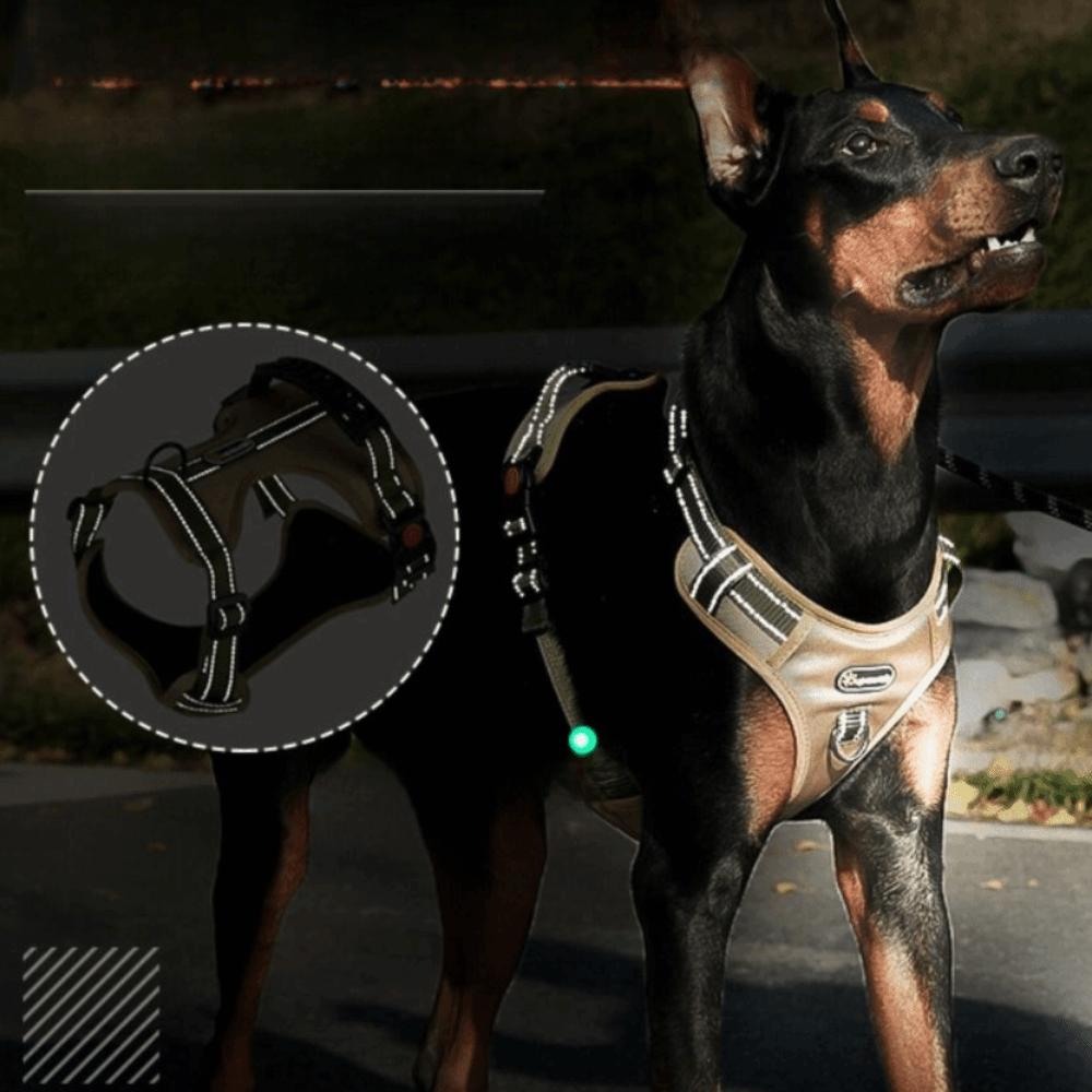 Reflective Dog Chest Strap Adjustable No-Pull Chest Strap Dogs Accessories  Outdoor Use