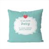 DDeicy Pillow Case For Car Sofa Decorative Home Doublesided Print Plush Square Throw Pillow Cushion Cover