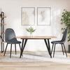 VidaXL 2x Dining Chairs Dining Chairs Dining Seats Kitchen Chairs Kitchen Furniture Home Interior 325647