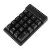 Richer-R Numeric Keypad, 2.4GHz Wireless Digital Number Keyboard, Bluetooth 19-Key Wireless Keyboard, Mini Keyboard, USB Numeric Keypad for Touch