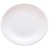 A5 Food-Grade Melamine 11-inch Round Dinner Plates (10 Pack)