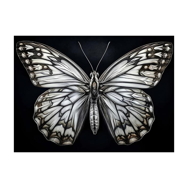 

Винтажная бабочка-мотыль с грибами, художественные принты, сцена с насекомыми, холст, картина, постер, темные картины, гостиная, домашний декор, куадрос 21x30cm No Framed