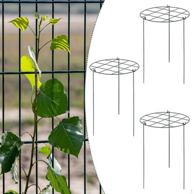 גינון ועיצוב גינות – תמיכה לצמחים