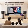 SAST All-in-One Home KTV Karaoke System CN Plug (adapter Included) (CN Version)