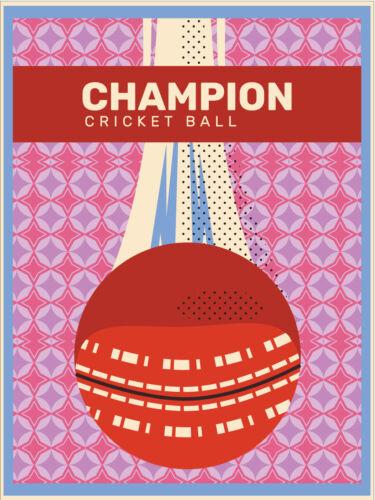 

Cricket Ball Vintage Retro Metal SignAluminum 20x30cm（7.8x11.8inch）