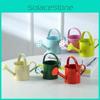 Charmante Mini-Blumenkanne Wassersprühende Metallkanne für Innen- und Außengärten