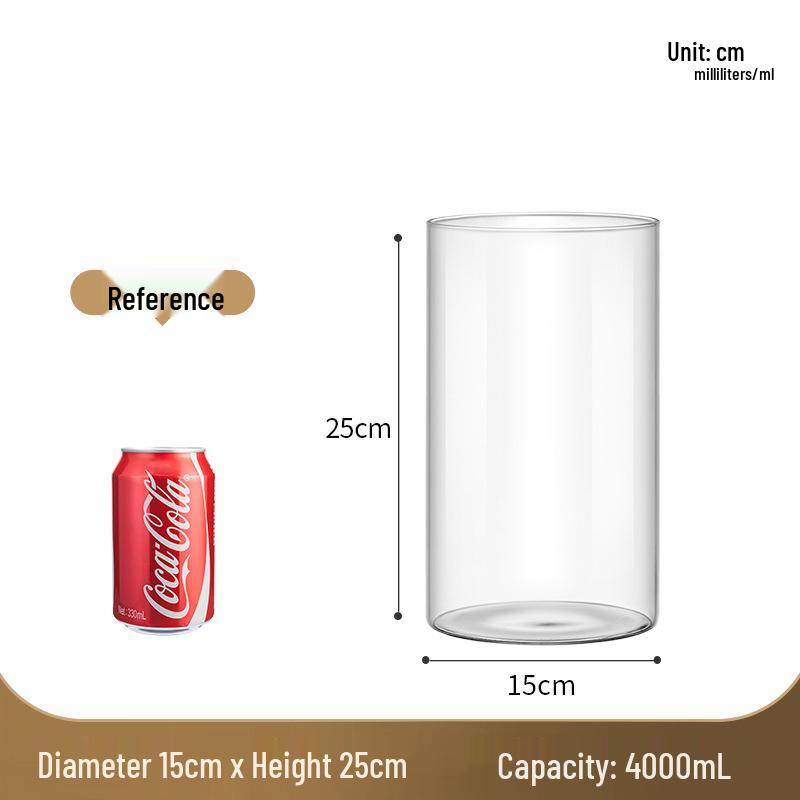 Straight Cylinder Glass Vase for Pothos and Hydroponic Decor
