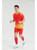 Men's Quick-Dry Football Jersey Set with Number Print for Adults and Kids
