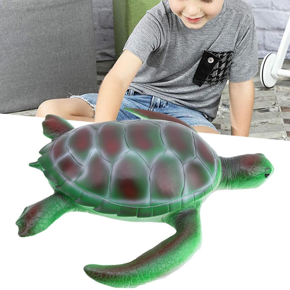 Simulation Animal Model Soft Sea Life Animals