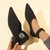 Fashion Women's Low Heel Shoes Spring New Pointed Head Shallow Mouth Suede Anti-slip Wear-resistant Low-top Shoes