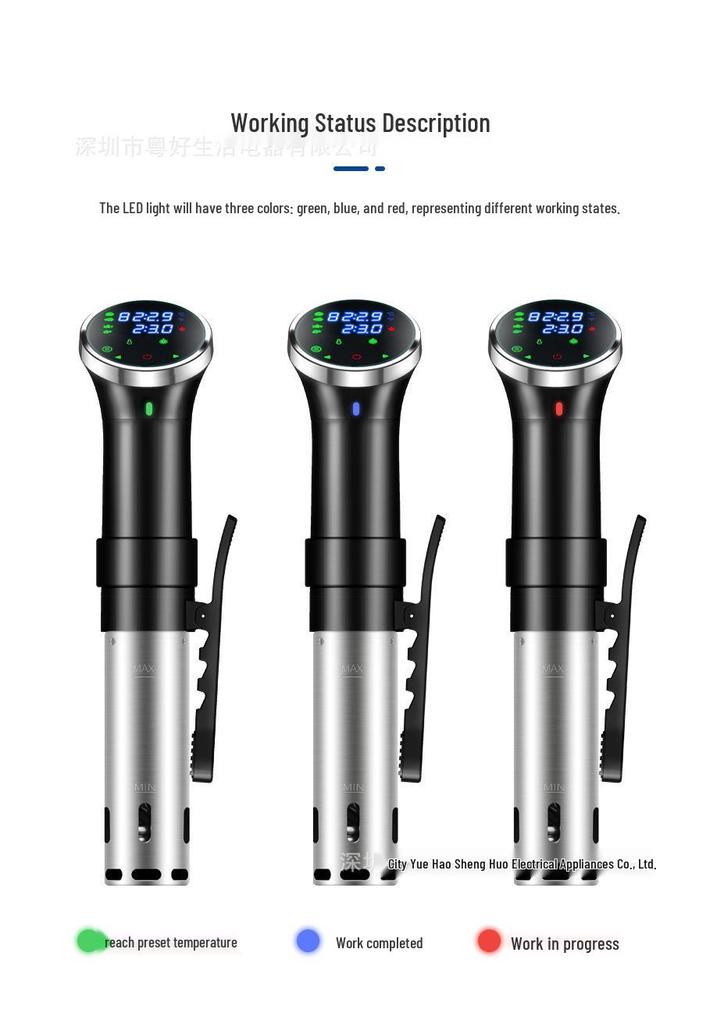 Cottore Sous Vide Potenziato: Bassa Temperatura, Cottura Lenta, Scongelamento, Bistecca di Manzo Sottovuoto con Funzionamento a Un Tasto