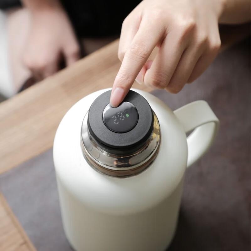 Wuwaju 316 Stainless Steel Insulated Travel Teapot