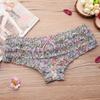 Cute Lace Low Waisted Panties with Mesh and Sexy Women's Panties