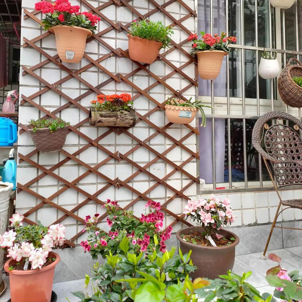 Expandable Garden Trellis with Preservative Wood for Climbing Plants