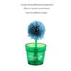 Flower Shaped Science Experiments Toy Easy To Grow Crystal Making Kit  Kids