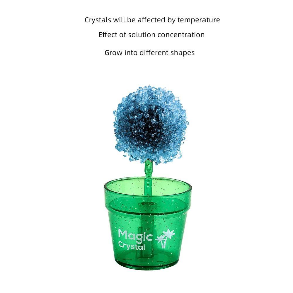 Flower Shaped Science Experiments Toy Easy To Grow Crystal Making Kit Kids