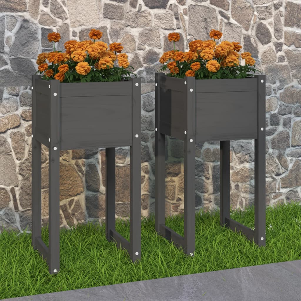 Planters 2 Pcs Gray 40 X 40 X 81 Cm Solid Pine Wood
