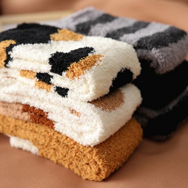 Lovely Cat Poggle Sleeping Socks 5-Piece Set Basic options