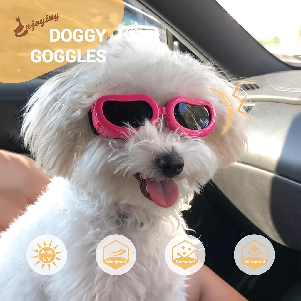 Anti-Fog Windproof Pet Dog Windproof Goggles, Protective Glasses For Dogs Sunglasses