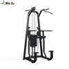Wei Bu EM1025 Commercial Assisted Dip and Pull-up Machine