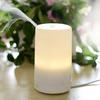 Home LED Essential Oil Electric Moisturizing Night Light  Fragrance Diffuser Air Humidifier
