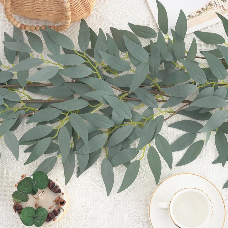 Leaf Foliage Eucalyptus For Wedding Backgrounds Outdoor Decoration Photography
