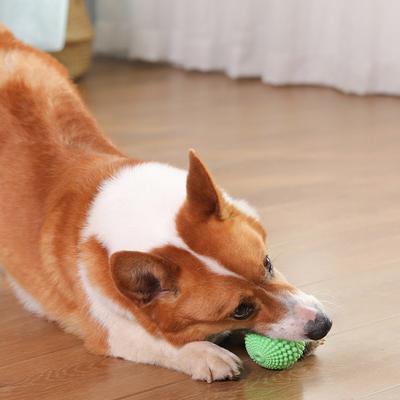 Squeaky Corn Ball Dog Toy - Chew Toy for Teeth Cleaning & Molar, Durable Non-Toxic Rubber Bite Toy,
