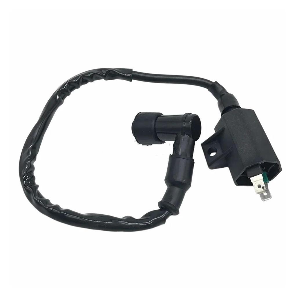 Motorcycle Ignition Coil Ignition Coil for Eliminator 125 KLX110 BN125 KLX300 KLR650 125CC Ignition Starter