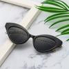 New Fashion Sunglasses Personalized Metal Chain Legs Sun Glasses Camping Trendy Retro Ideal Gift Triangle Frame Sunnies