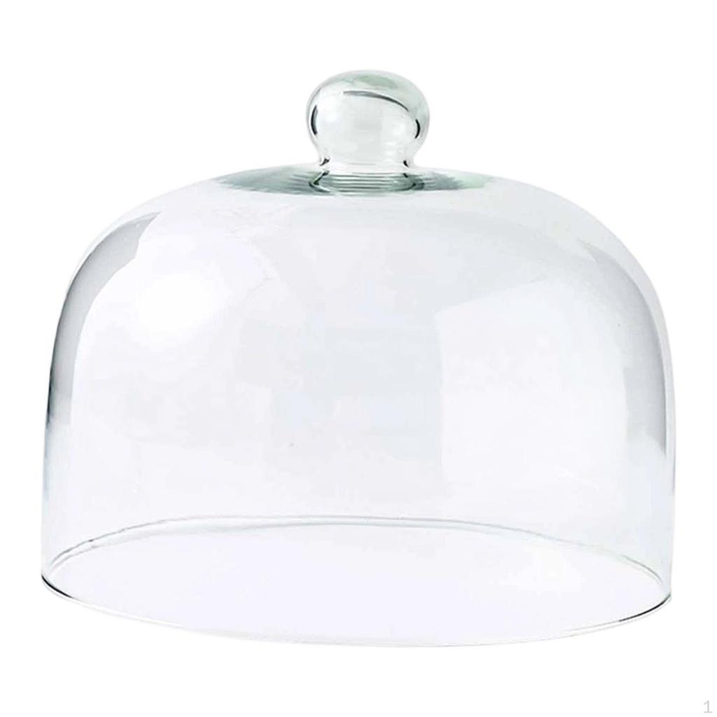 Cake Dome Display Cloche Lid for Dining Room Picnic