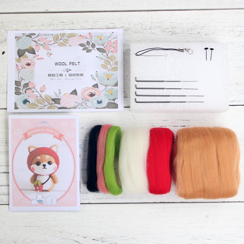 Felting Kit DIY For Beginners With