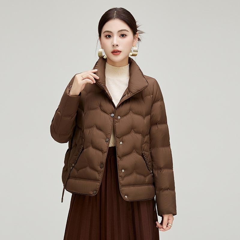 Retro Literary and Ethnic Style Short Down Jacket Women's Winter Fashion Stand-up Collar Warm Small Light Jacket