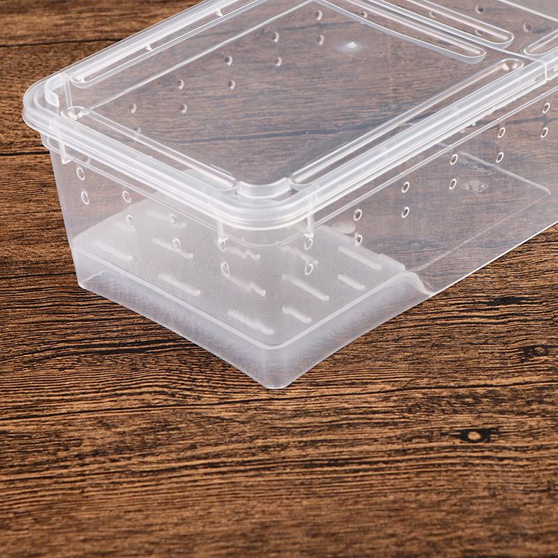Box na plazy Kudlanka skákající Pavouk Morušový chov Box na odchov plazů