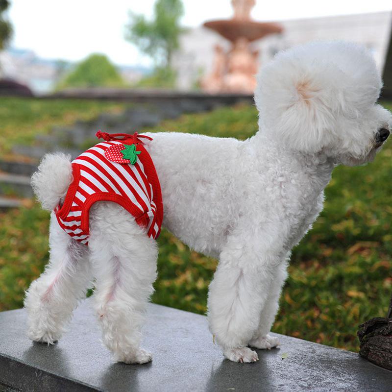 Adorable Princess Striped Strawberry Pink Pet Sanitary Pants for Dogs