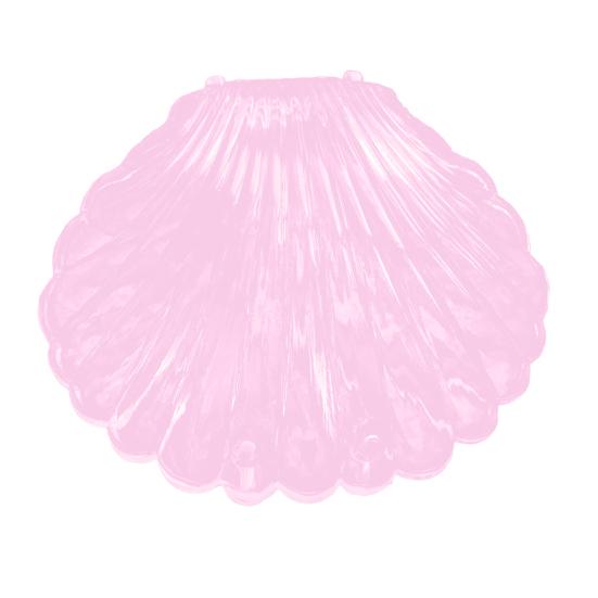 Transparente Muschelform Schmuck Halskette Armband Aufbewahrungs Organizer Box Etui