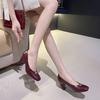 Retro Temperament Metal High Heels Women's Square Head Thick Heel Single Shoes Simple Versatile Not Tired Feet Autumn