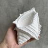 Conch Potted Flower Pot Mould Conch Jewelry Storage Box Silicone Mold Succulent Flower Pot Mold Gypsum Plaster Resin Concrete Mold for Home