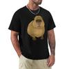 Gort the Famous Capybara TShirt Unisex T Shirt Cotton  TShirt