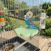 Bite Resistant Bird Resting Platform Cloud Shape Claw Sharpener Hopping Stand  Budgie