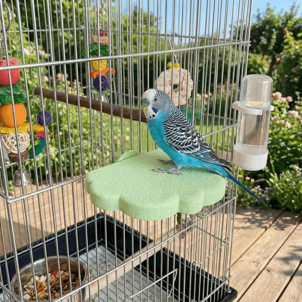 Wear Resistant Bird Resting Platform Cloud Shape Beak Grinding Stand Creative Parrot Stand Budgie