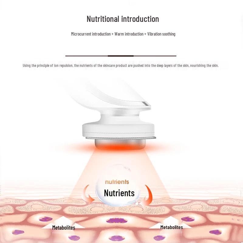 Jindao KD9960 Facial Cleansing & Nutrient Infusion Device