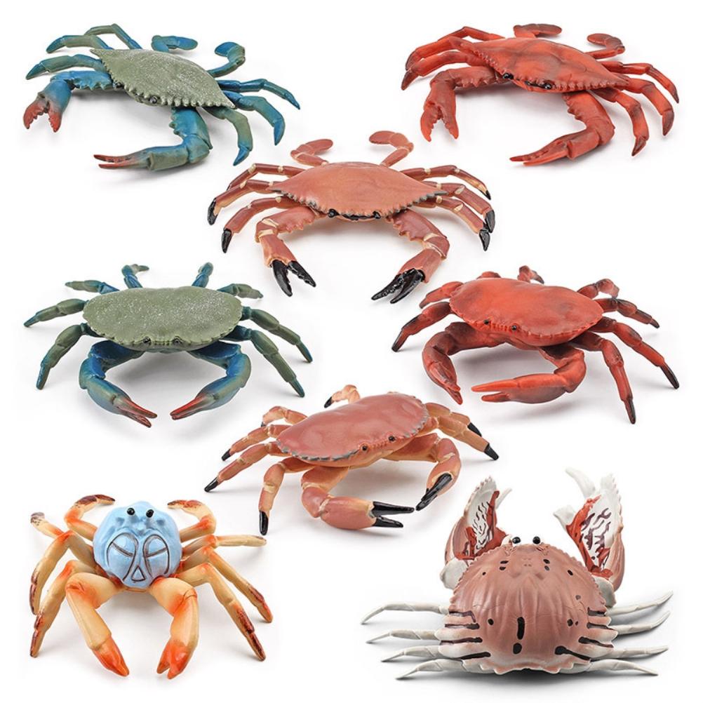 8Pcs Realistic Sea Animal Figures Simulation Static Crab Figurine Cognitive Educational Model