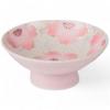 Takumifu Arita Ware 7cm Small Sake Cup with Light Pink Glaze and Iris Cherry Blossom Design, Made In Japan