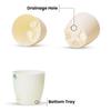 Combo of 6 Self Watering Flower Pots for Plants | Plastic Plant Pots | Planter Pots for Home, Indoor Living Room,Garden