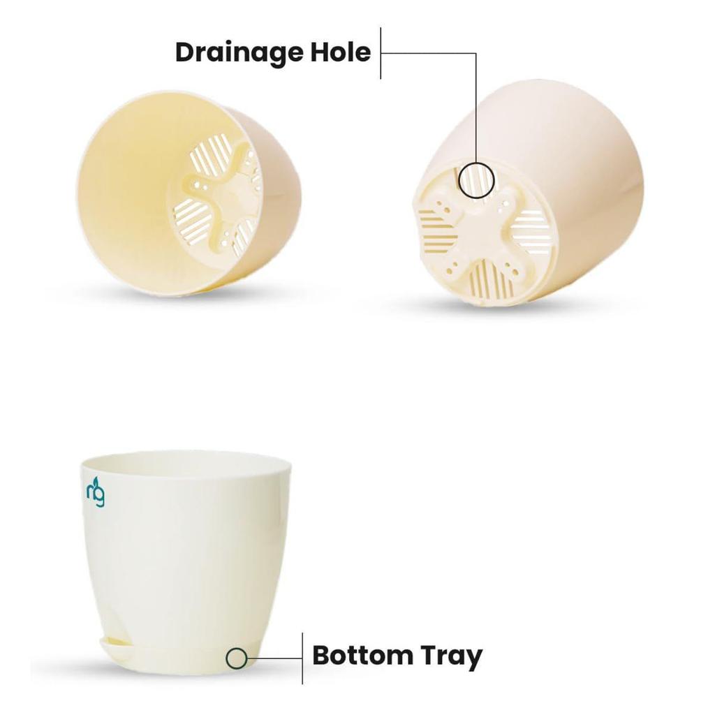 Combo of 6 Self Watering Flower Pots for Plants | Plastic Plant Pots | Planter Pots for Home, Indoor Living Room,Garden