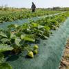Perforated Barrier Fabric, Garden Ground Cover, Permeable Control Cloth