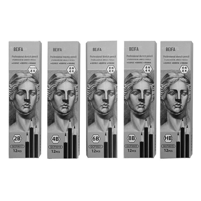Beifa Professionelles Skizzenstift-Set: 12 HB-8B für Kunststudenten